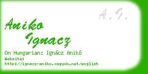 aniko ignacz business card